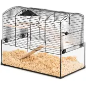 Zolux Cage Neo Panas Little lasikyvetillä, musta