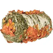 Trixie 2x200g -heinäpallot kurpitsalla ja porkkanalla herkku pieneläimille