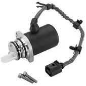 BORGWARNER Pumppu, lamellikytkin (neliveto) DS118613