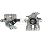 BUDWEG CALIPER Jarrusatula , 342730