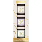 Yankee candle Little Luxuries votiivikynttilä lahjasetti