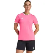 Adidas Toiminnallinen paita 'Entrada26' roosa / valkoinen