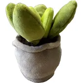 Take Me Home Plants Plush S 12-17cm 3asst.