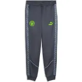 Puma Manchester City Fc King Anthem Housut