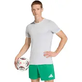 Adidas Pelipaita Entrada 26 - Harmaa/valkoinen, koko Medium