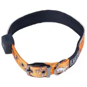 LIGHT5 Kaulapanta Doggo Led Collar, Oranssi, M
