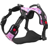 LIGHT5 Valjaat Doggo Led Harness, Pink, L