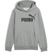 Puma Ess No. 1 Logo Hoodie Fl B - Grey - 164