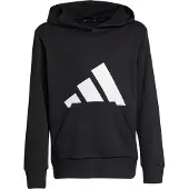 Adidas Essentials Big Logo Huppari