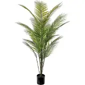 Newport Vuoripalmu vihreä ruukkukasvi 140 cm