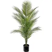 Mr Plant , Vuoripalmu vihreä ruukkukasvi 110 cm