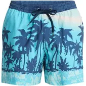 Quiksilver Everyday Printed Volley 15´´ Uimashortsit