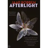 Afterlight