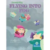 Bookoutlet Flying Into Fog