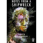 Notes from a Shipwreck