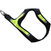 Axaeco X-run Koiran Valjaat