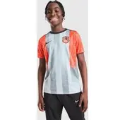 Nike Chelsea Treenipaita Dri-fit Academy Pro Pre Match Se - Harmaa/oranssi/sininen Lapset - , koko XS: 122-128 cm