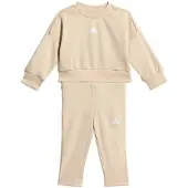Adidas Seasonals Sweat Aseta