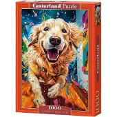 Castorland Euphoric Spectrum 1000p palapeli