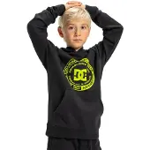 Dc-shoes Corpo Raglan Kids Huppari black Koko T14