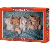 Castorland The Sweetest Kittens 1000p palapeli