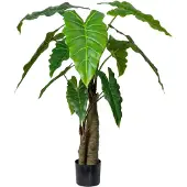 Mr Plant Alokasia-puu 120 cm