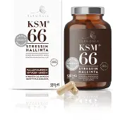 Raw Organic Harmonia KSM66 120kaps