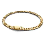 Pandora Timeless kullattu rannekoru 564367C00-16