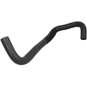 THERMOTEC Jäähdyttimen letku DW0542TT