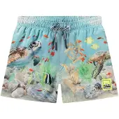Molo Niko Board Shorts Happy Ocean 86/92 cm Sininen 86/92 cm Pojat, Tytöt