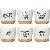 4Living Quotes 12cm ruukku aluslautasella