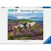 Ravensburger Wild Horses 2000P - Purple - ONE SIZE