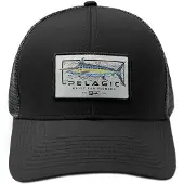 PELAGIC Marlin Minds Lippis