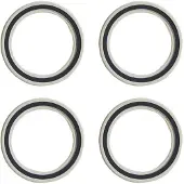 Fulcrum R0-025 Bearings Hopeinen