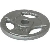 Softee Rauta Painolevy 15kg