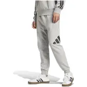 Adidas Urheiluhousut 'ESSENTIALS BIG LOGO FRENCH TERRY' antrasiitti / vaaleanharmaa