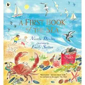 Nicola Davies A First Book of the Sea