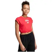 Adidas Seasonals Collegiate Typography Lyhythihainen T-paita
