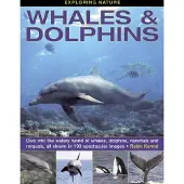 Bookoutlet Exploring Nature: Whales &amp; Dolphins