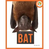 Bookoutlet Spotlight on Nature: Bat