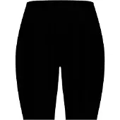 Icebreaker Merino Blend 260 Seamless Rib 8´´ High Rise Shortsit