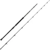 Penn Regiment Iv Boat Braid 8Ft2In F 20-30Lb 2Sec Conv avokelavapa