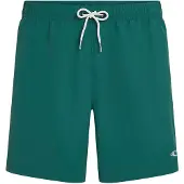 O'Neill Vert 16'' Surffishortsit botanical heat Koko XS