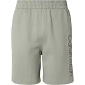 Calvin Klein Eu 350terry Graphic Shortsit