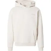 Hollister Collegepaita ecru