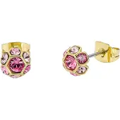 Ted Baker GEMME korvakorut 06-TBJ4065-02-34