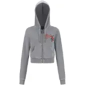 Ed Hardy Collegetakki 'Flaming Tiger' keltainen / tummanharmaa / punainen
