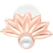 Wildcat Pearl Peacock Push Fit Labret - 5,0 mm, Ruusukultainen metalli