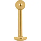 Wildcat Micro Basic Labret - Lävistyskoru - 1,2 mm, 7,0 mm, Kultainen metalli