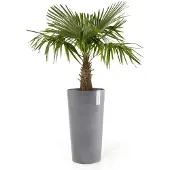 Ecopot's Amsterdam korkea ruukku